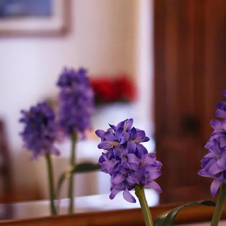 Couette-café Dell'arcangelo 3*