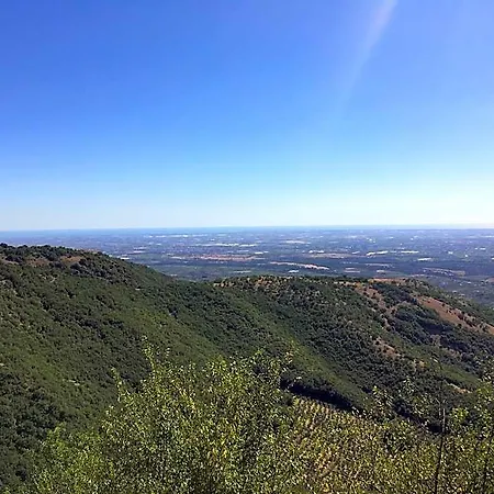 Dell'arcangelo Bed & Breakfast Rocca Massima